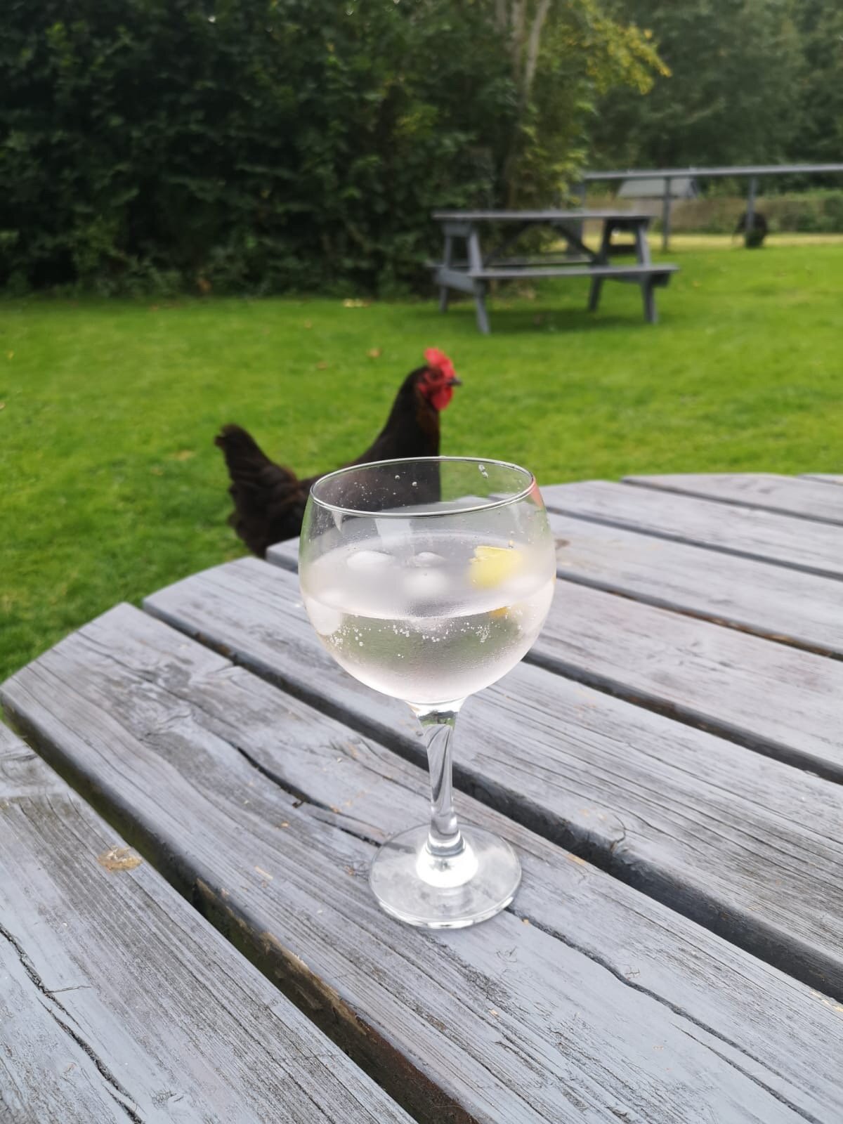 The Crown Inn Alvediston-官方