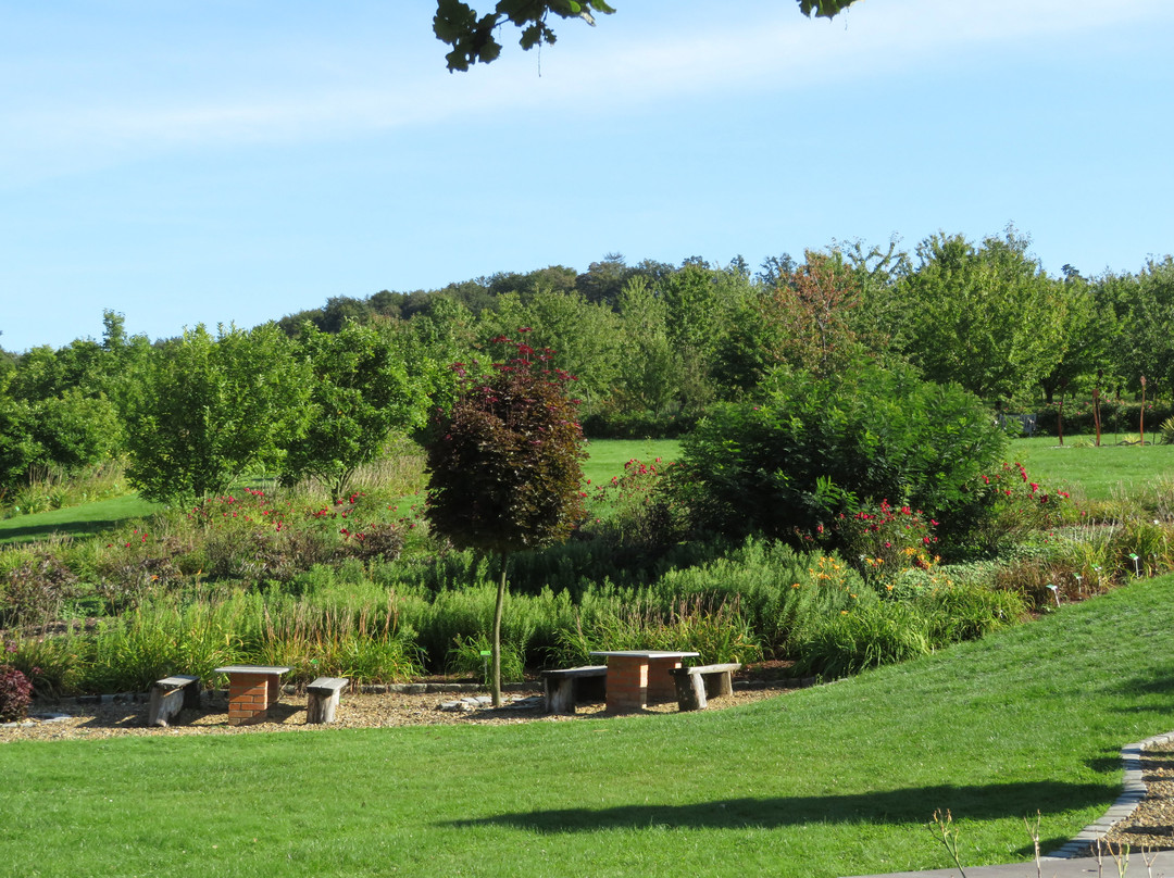 Arboretum Wojslawice景点图片