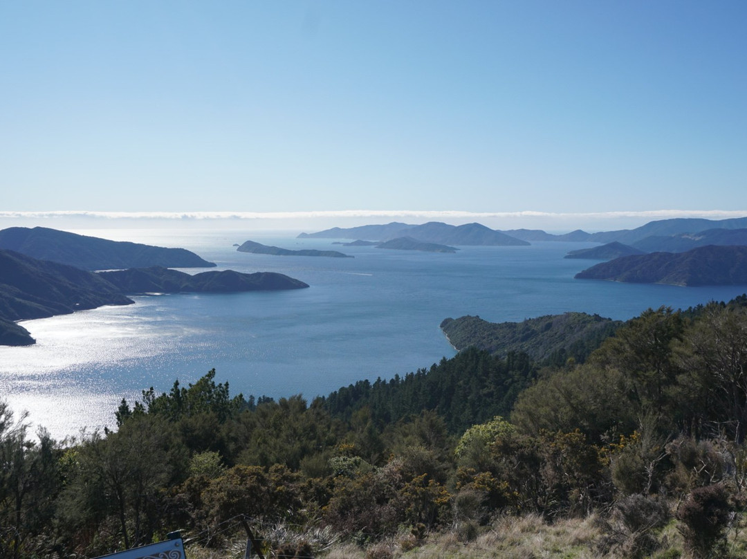 Marlborough Sounds Adventure Company - Day Tours景点图片