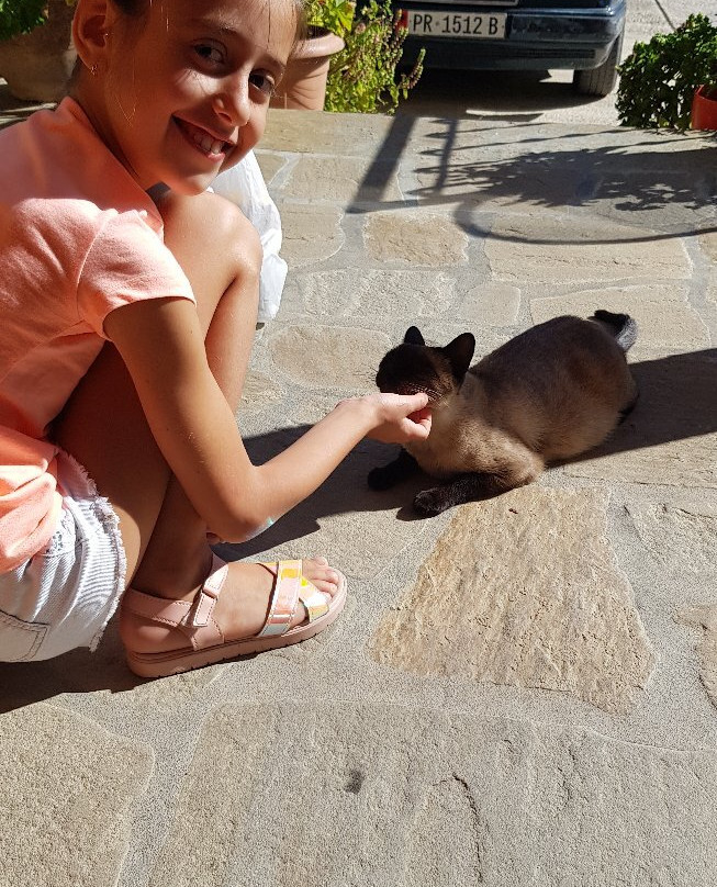 Joan Guesthouse主图