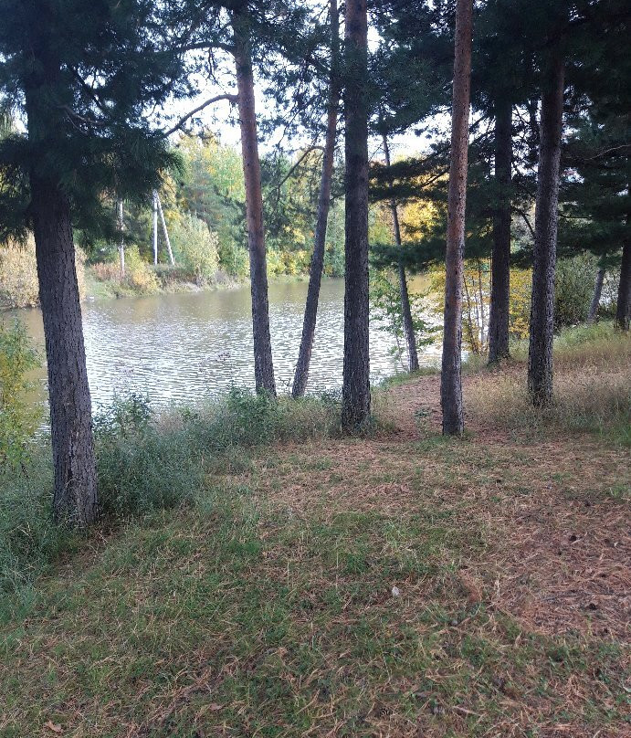 Sayma Park-Surgut必去景点