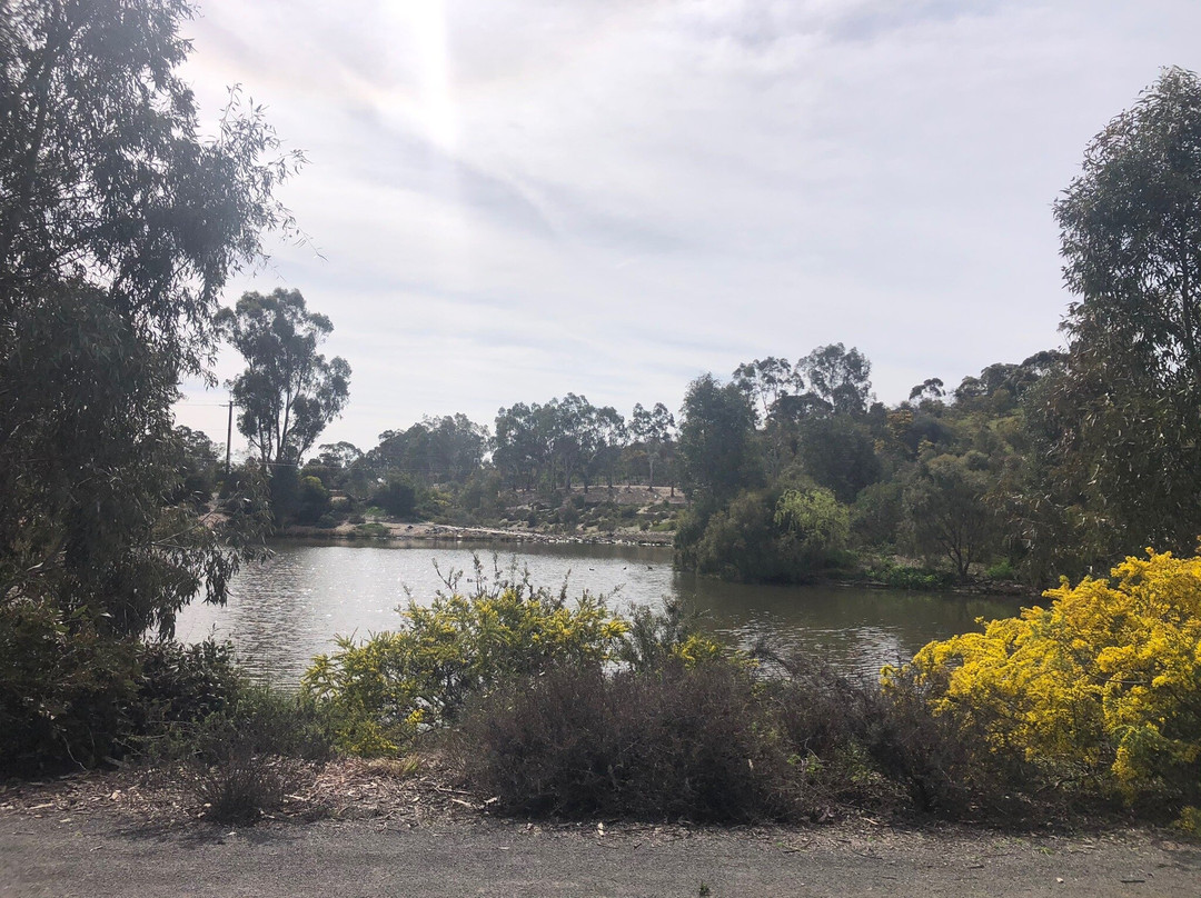 Gleeson Wetlands-克莱尔必去景点