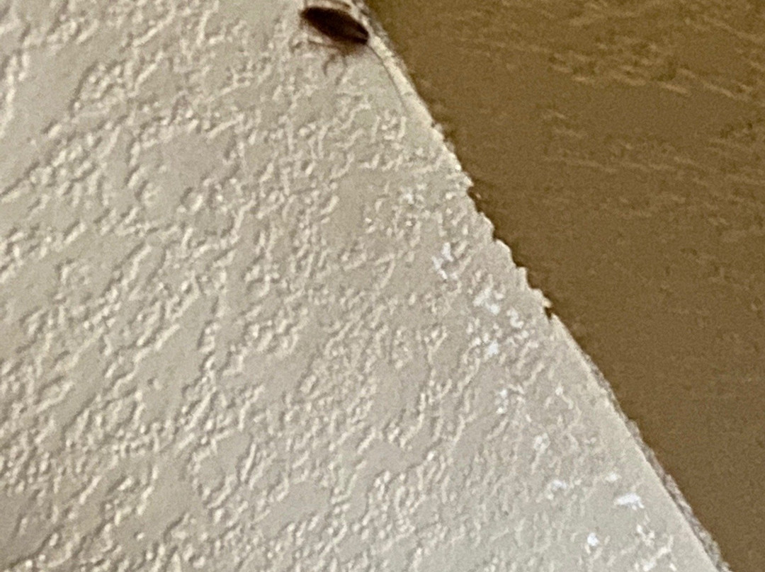 Quality Inn Terre Haute University Area主图