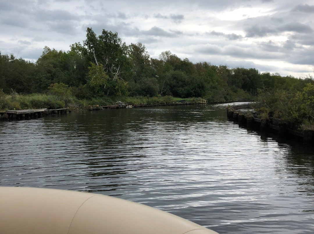 Lake Vermilion-Tower必去景点