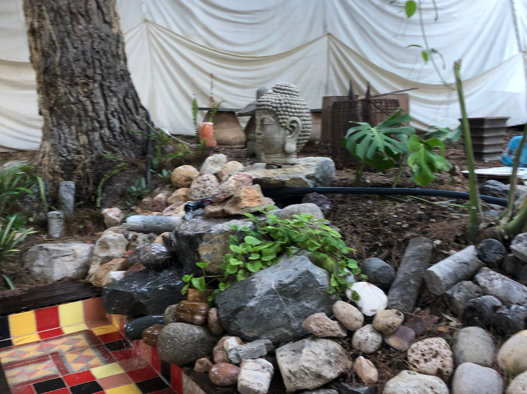 Jardin de los Sentidos主图