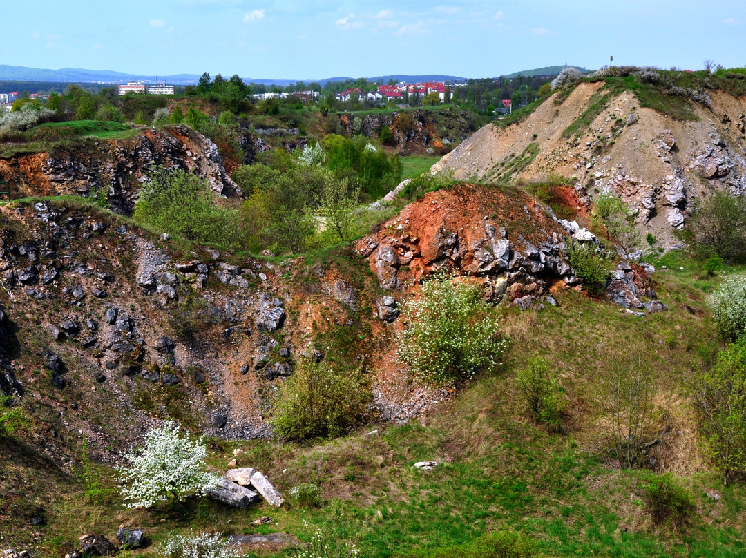 Wietrznia Nature Reserve (Rezerwat Przyrody Wietrznia)景点图片
