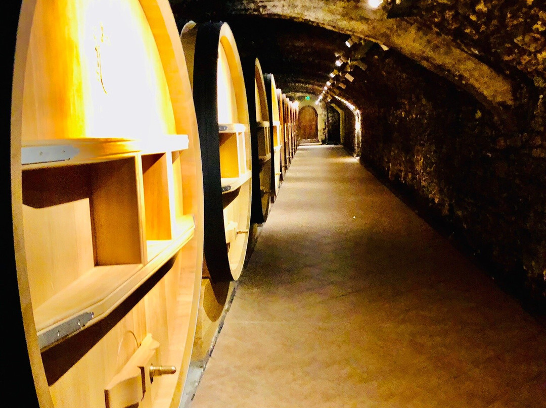 Chateau de Nalys景点图片