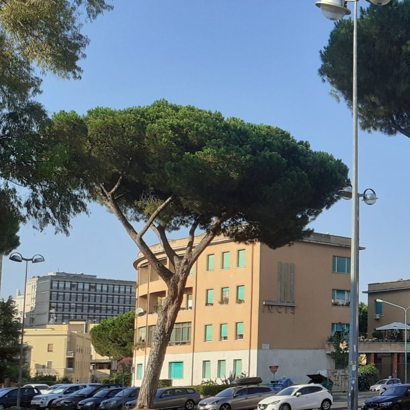 Piazza Del Quadrato景点图片