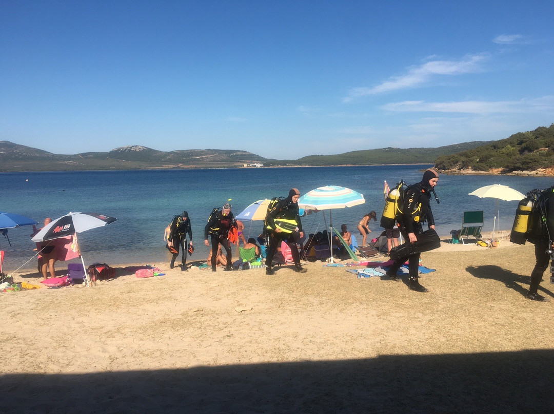 Archimete Overing Diving-阿尔盖罗必去景点