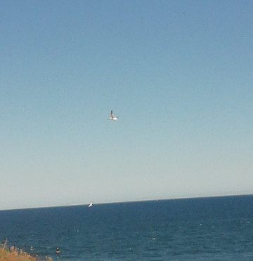 Eyemouth Fort-Eyemouth必去景点
