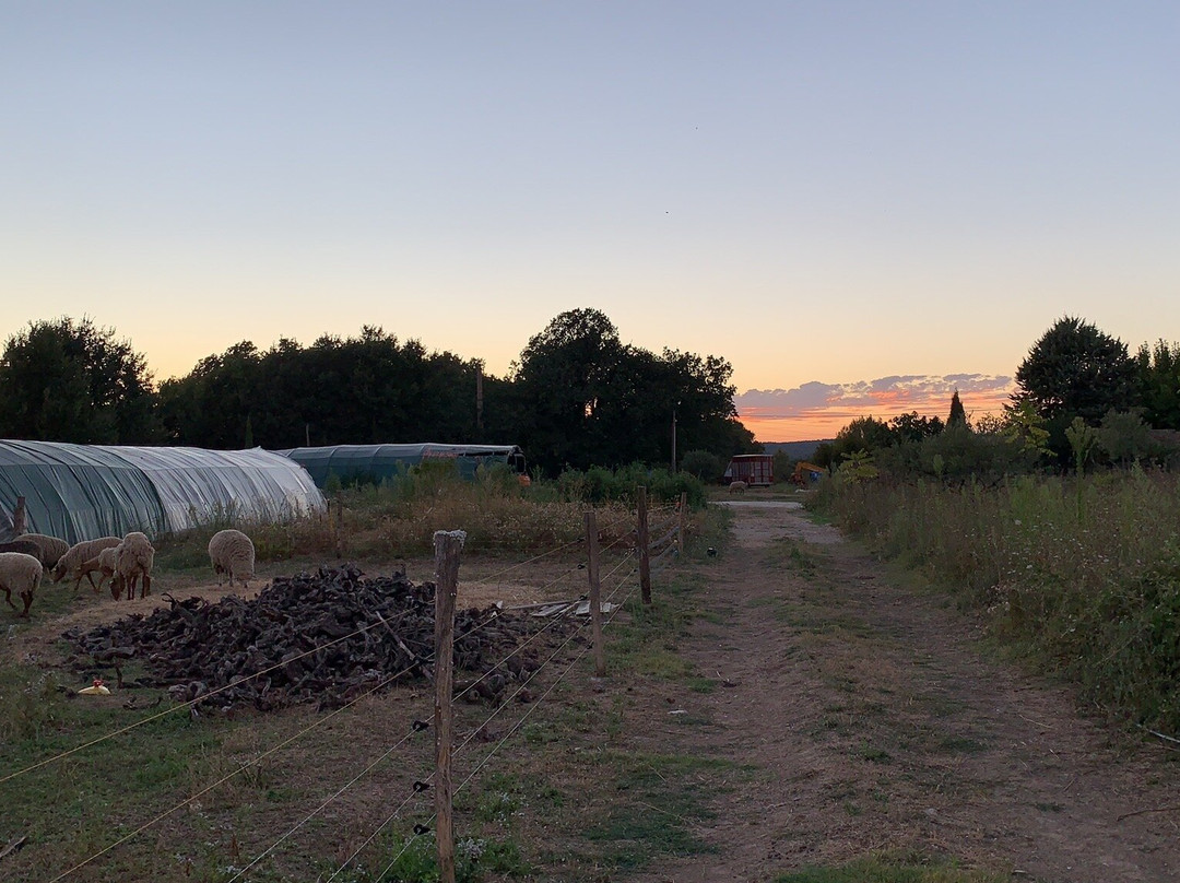 Camping à la Ferme les Boudougnes主图