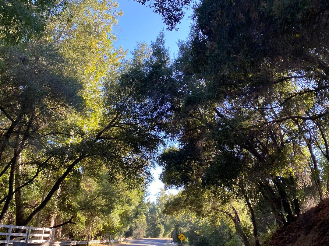 Ojai Retreat & Inn主图