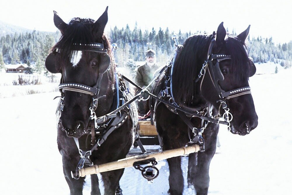 Elkhorn Ranch Sleigh Rides景点图片