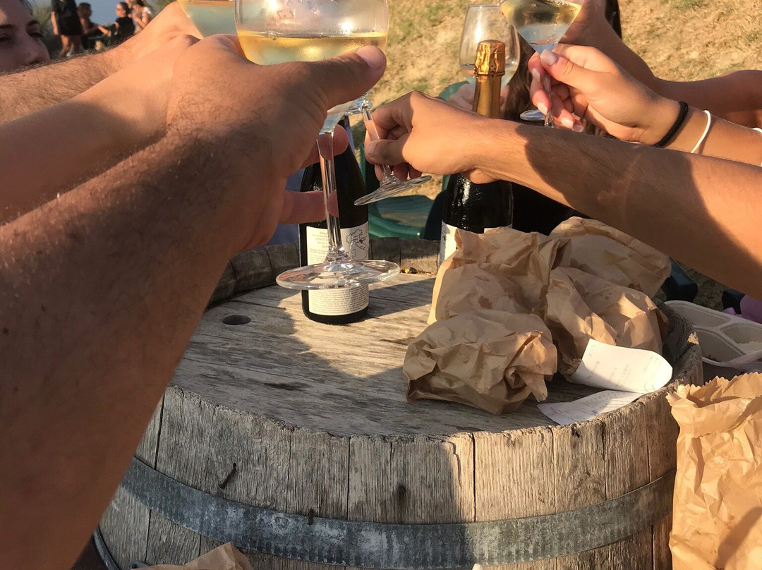 Vineria con Cucina in Fattoria Mancini-佩萨罗必去景点