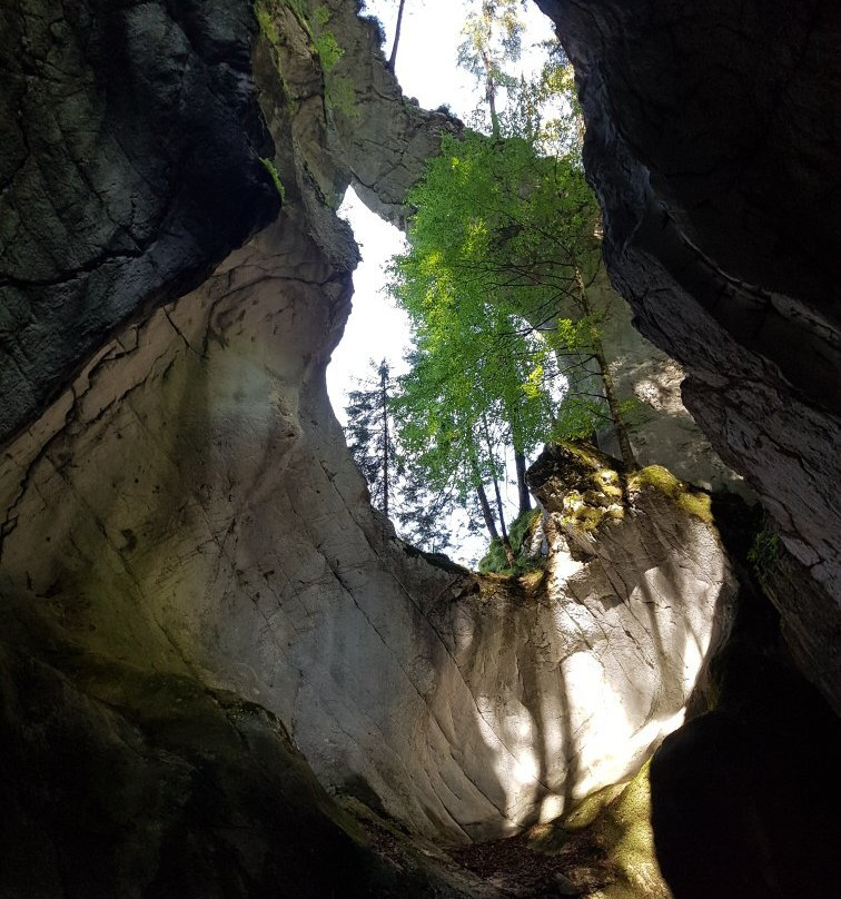 Rappenlochschlucht-多恩比恩必去景点
