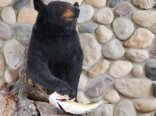 Quality Inn & Suites - Ladysmith主图