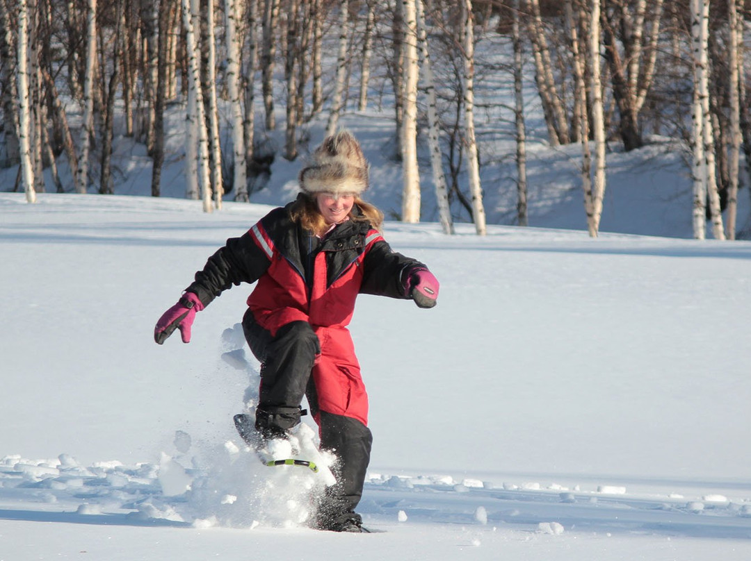 Arctic Nature Trips-罗瓦涅米必去景点