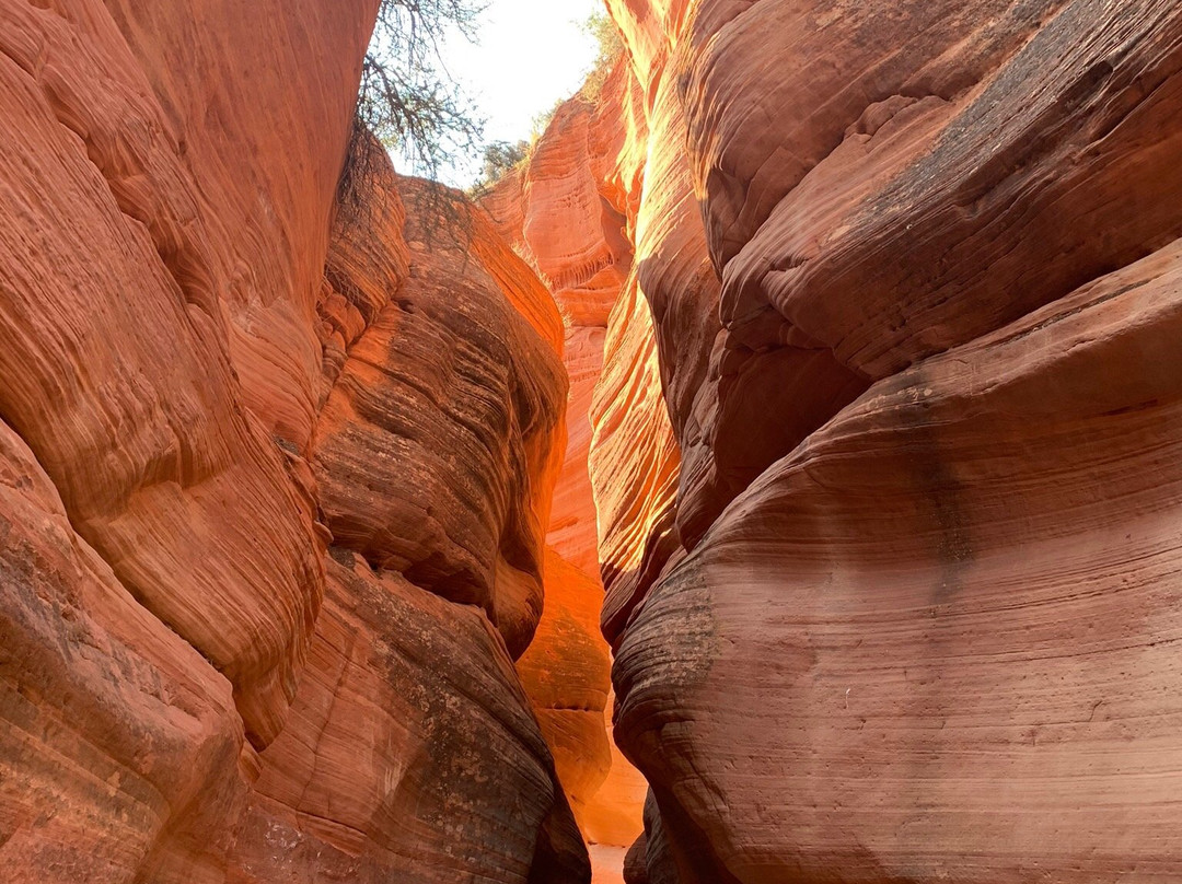 Adventure Tour Company-卡纳布必去景点