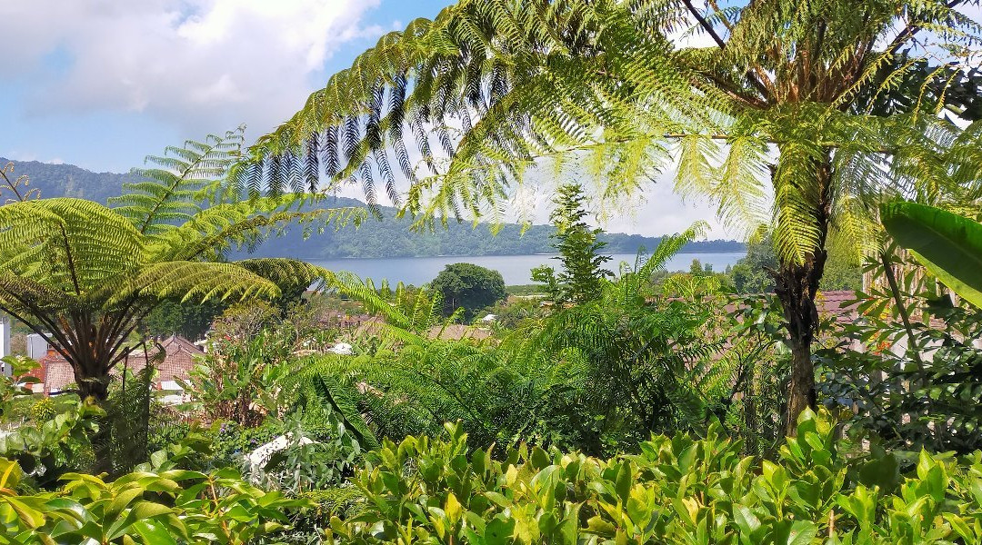 Little Lake Villa主图