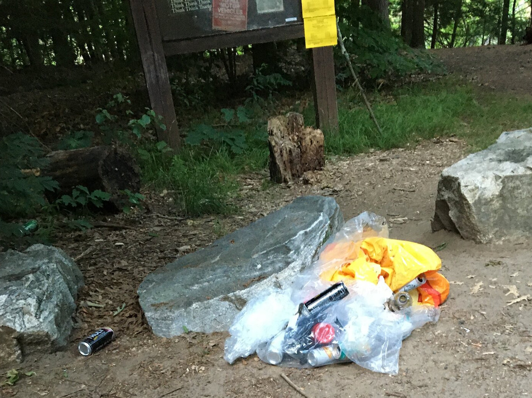 Paugussett State Forest