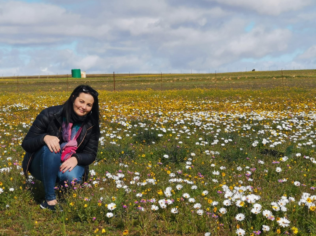 Hantam National Botanical Garden-Nieuwoudtville必去景点