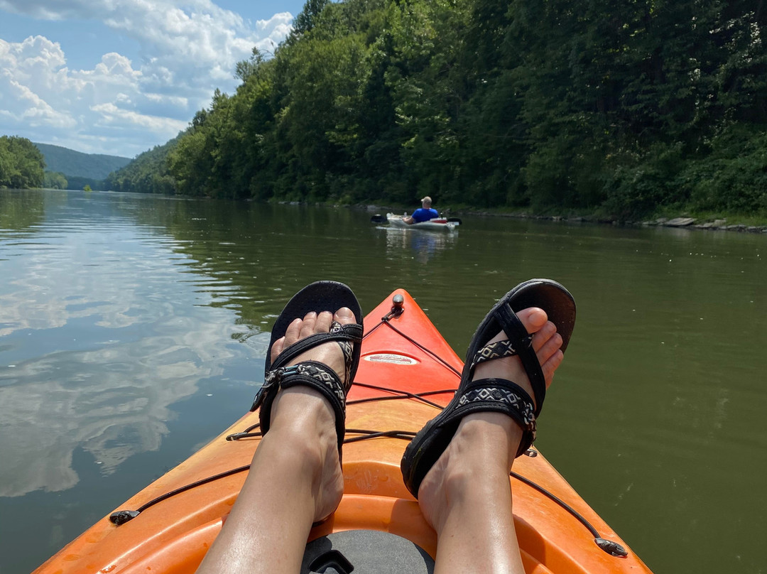 Allegheny Wilderness Outfitters Canoe/Kayak Rental景点图片