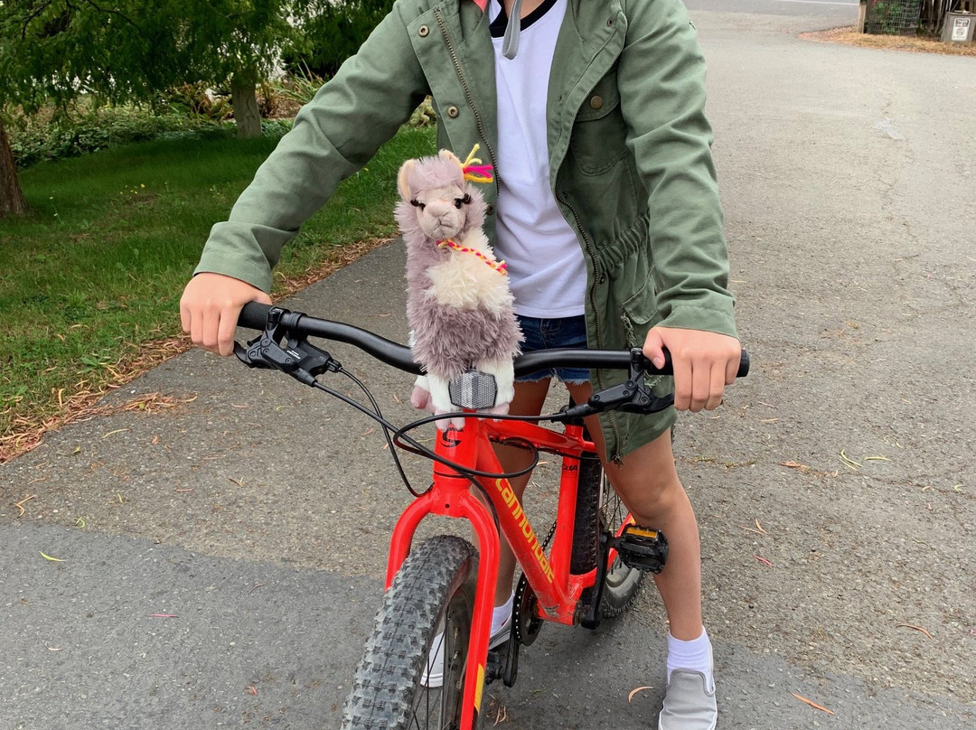 Stanford Inn & Resort主图