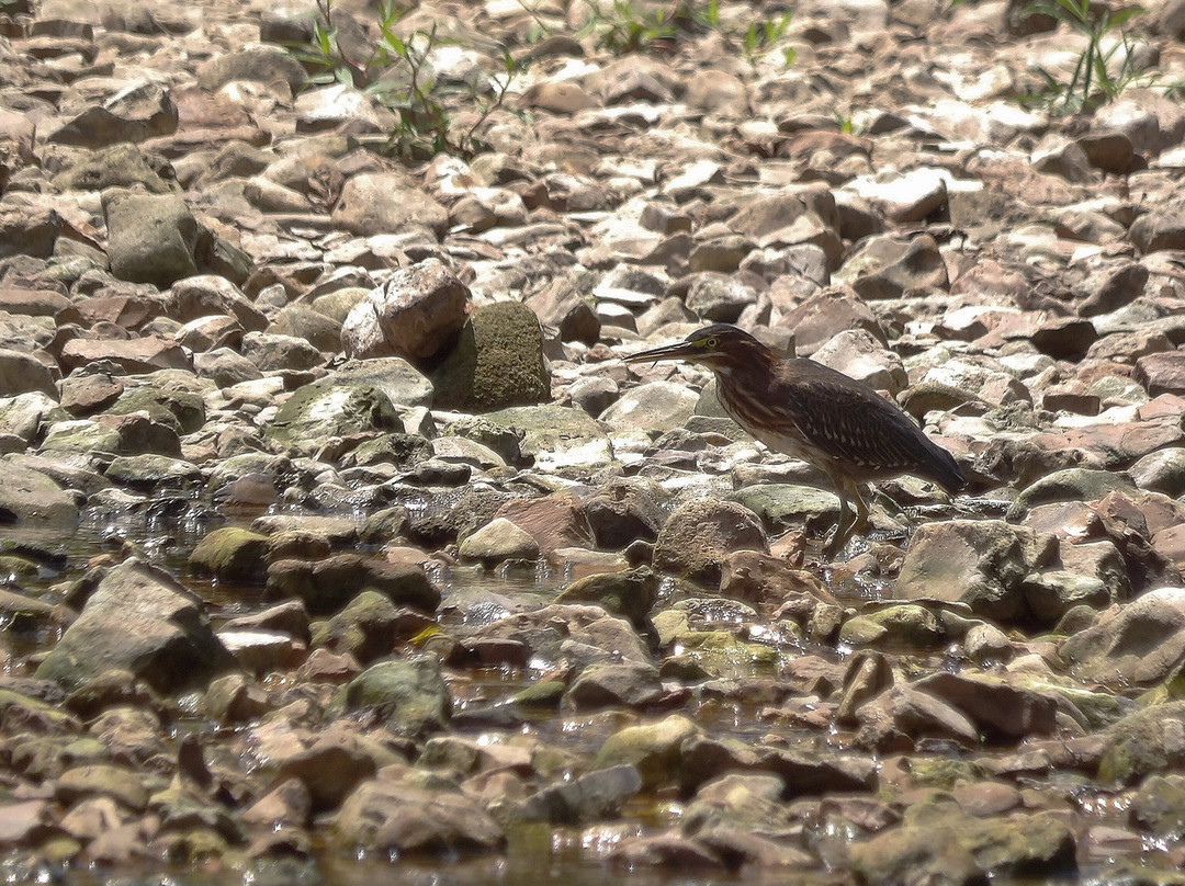 Schermerhorn Park-Galena必去景点