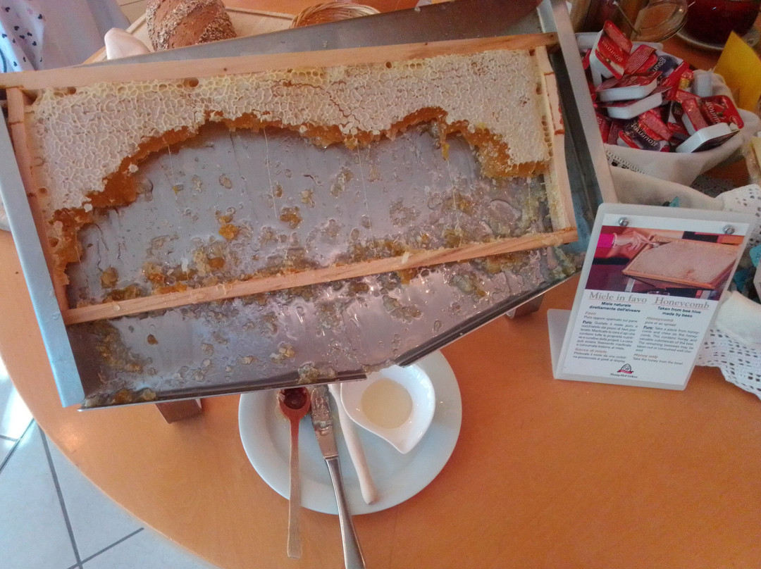 Hotel Restaurant Der Rierhof主图