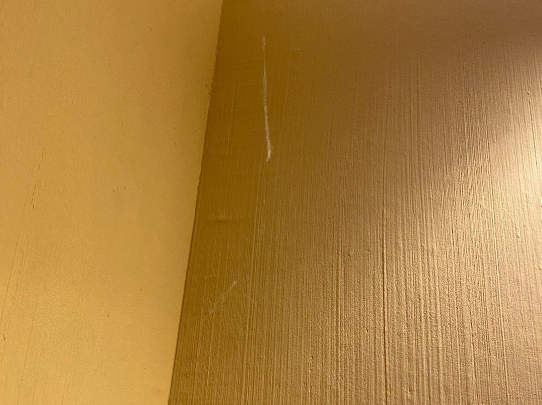 Résidence Pierre & Vacances Les Grands Pins主图