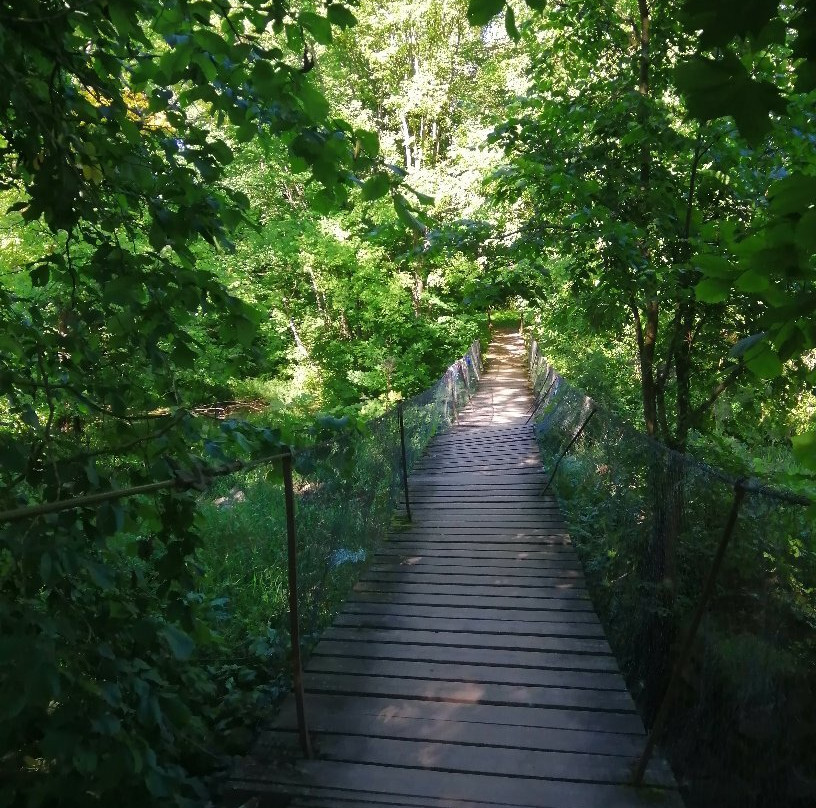 Park-Estate Gorki景点图片