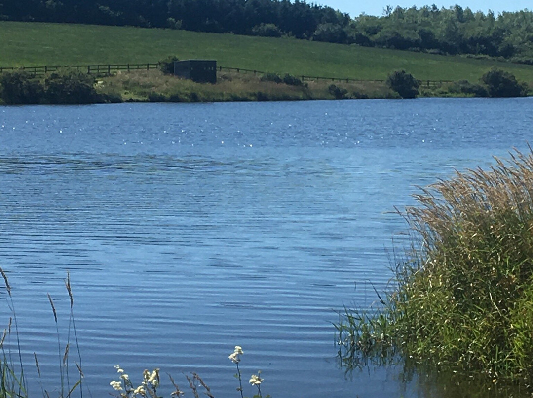 Tamar Lakes-布德必去景点