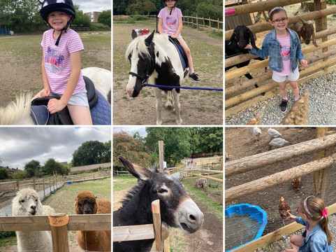 George Mead Memorial Stables-Welling必去景点