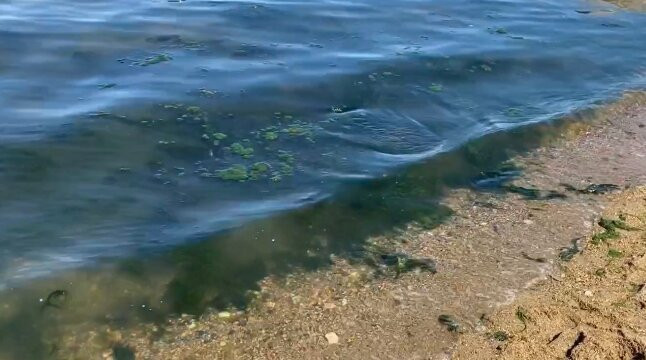 Little Lake Manitou-Watrous必去景点
