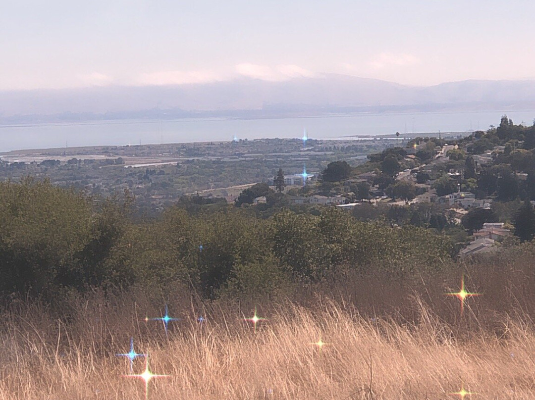 Laurelwood Park-圣马特奥必去景点