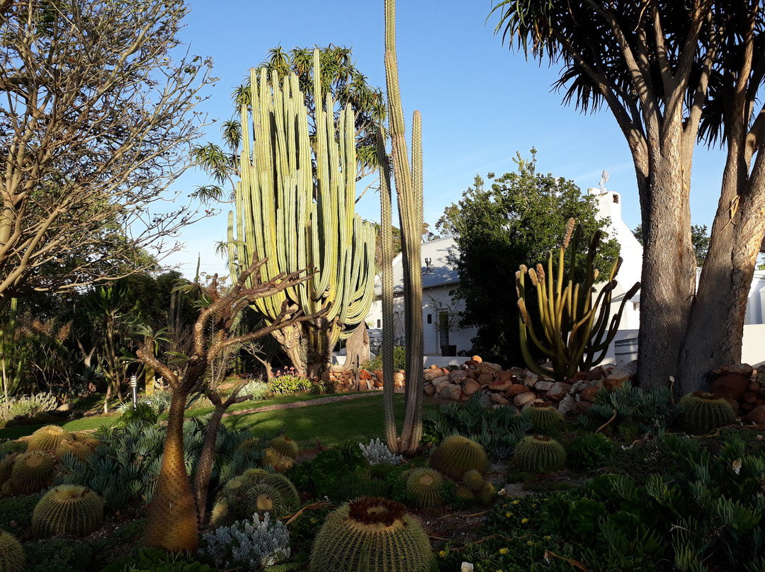 Mo & Rose at Soekershof主图