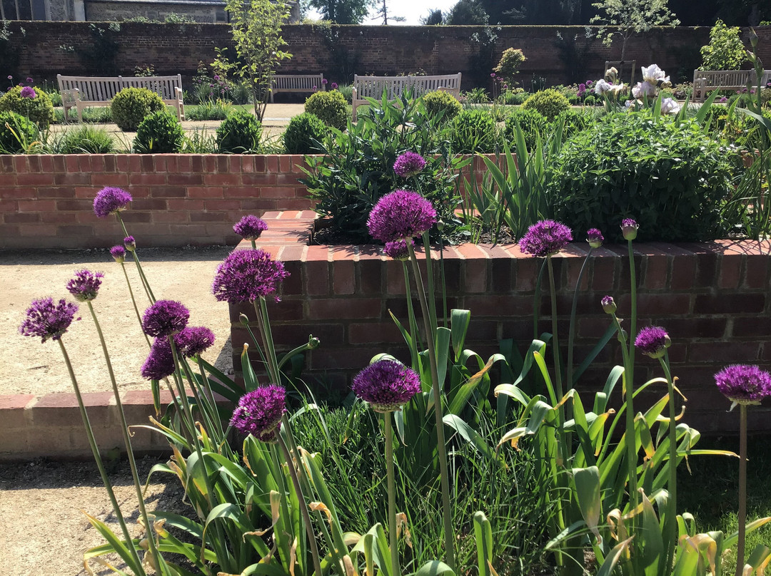 Crinkle Crankle Garden and Boules Court Wheathampstead景点图片