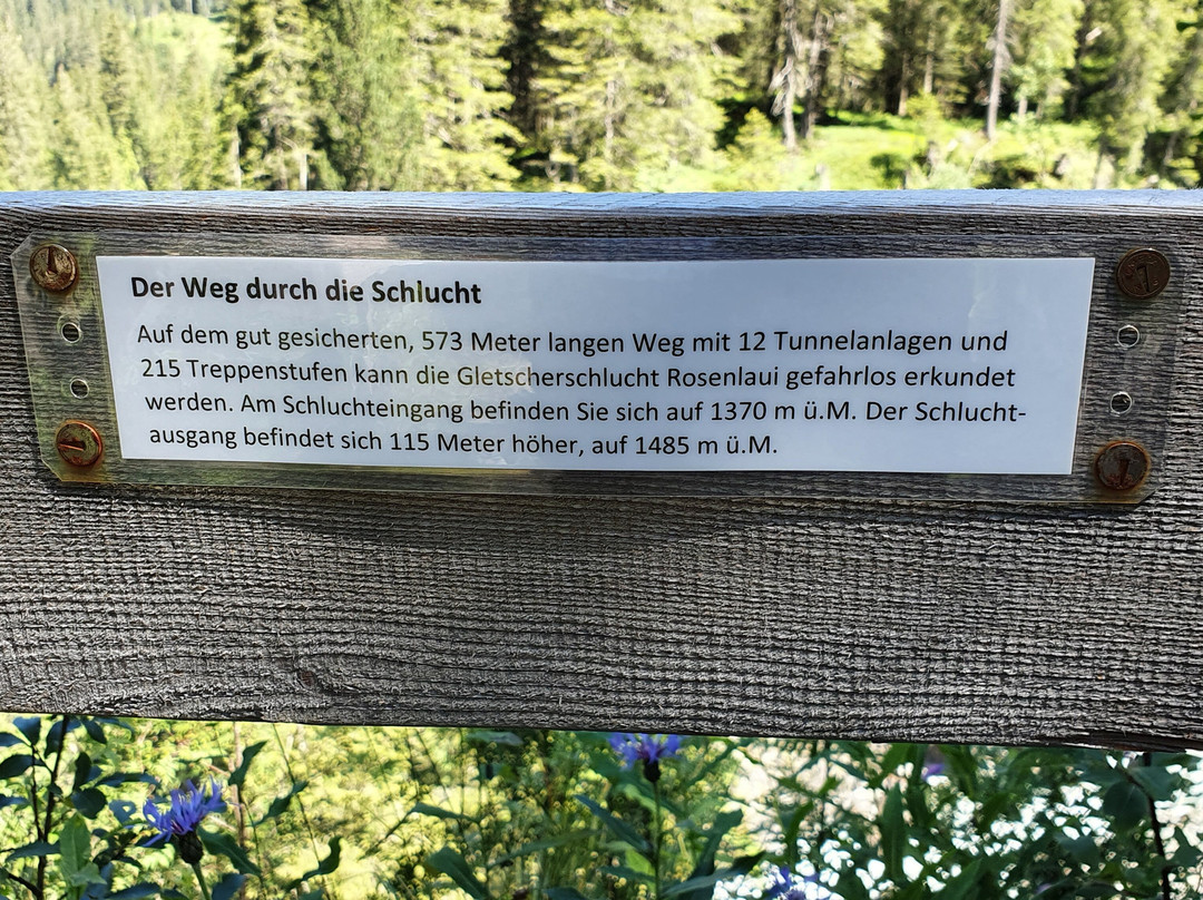 Gletscherschlucht Rosenlaui景点图片
