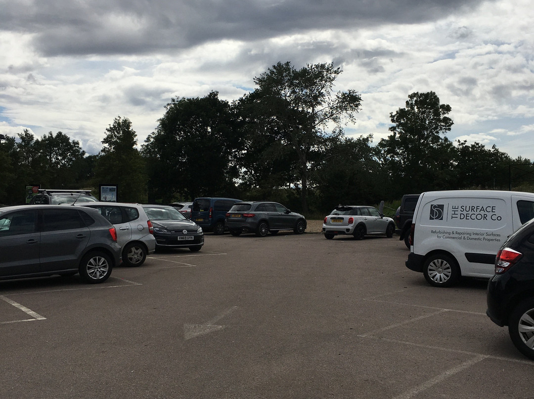 Dinosaur Safari Adventure Golf-巴尼特必去景点