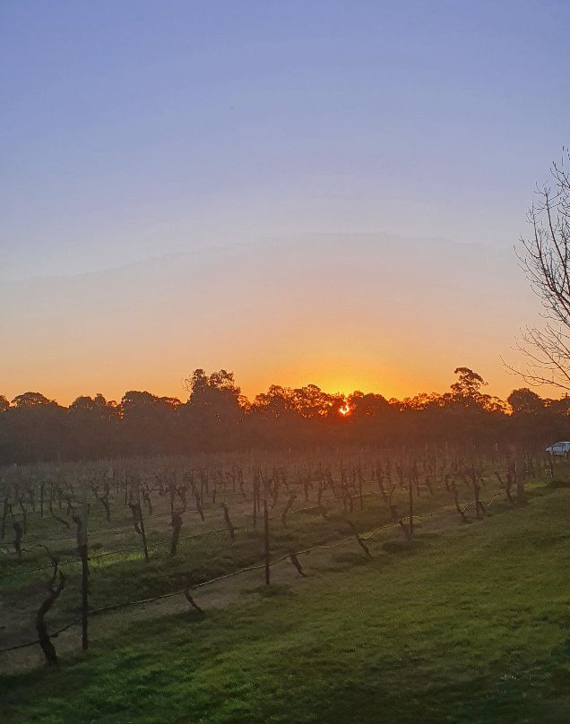 Blueberry Hill Vineyard Stay主图