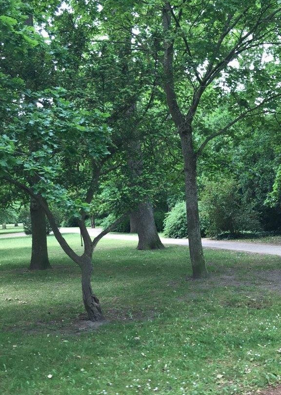 Warnemunde Kur Park-瓦勒慕必去景点