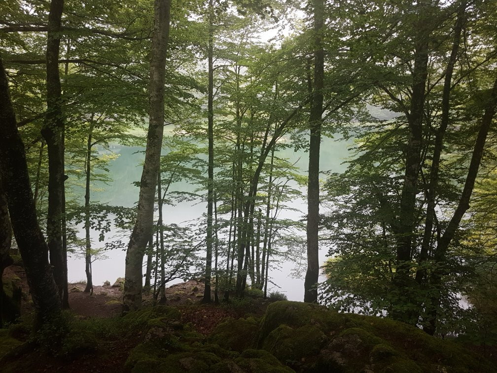 Lac de Bethmale-Bethmale必去景点
