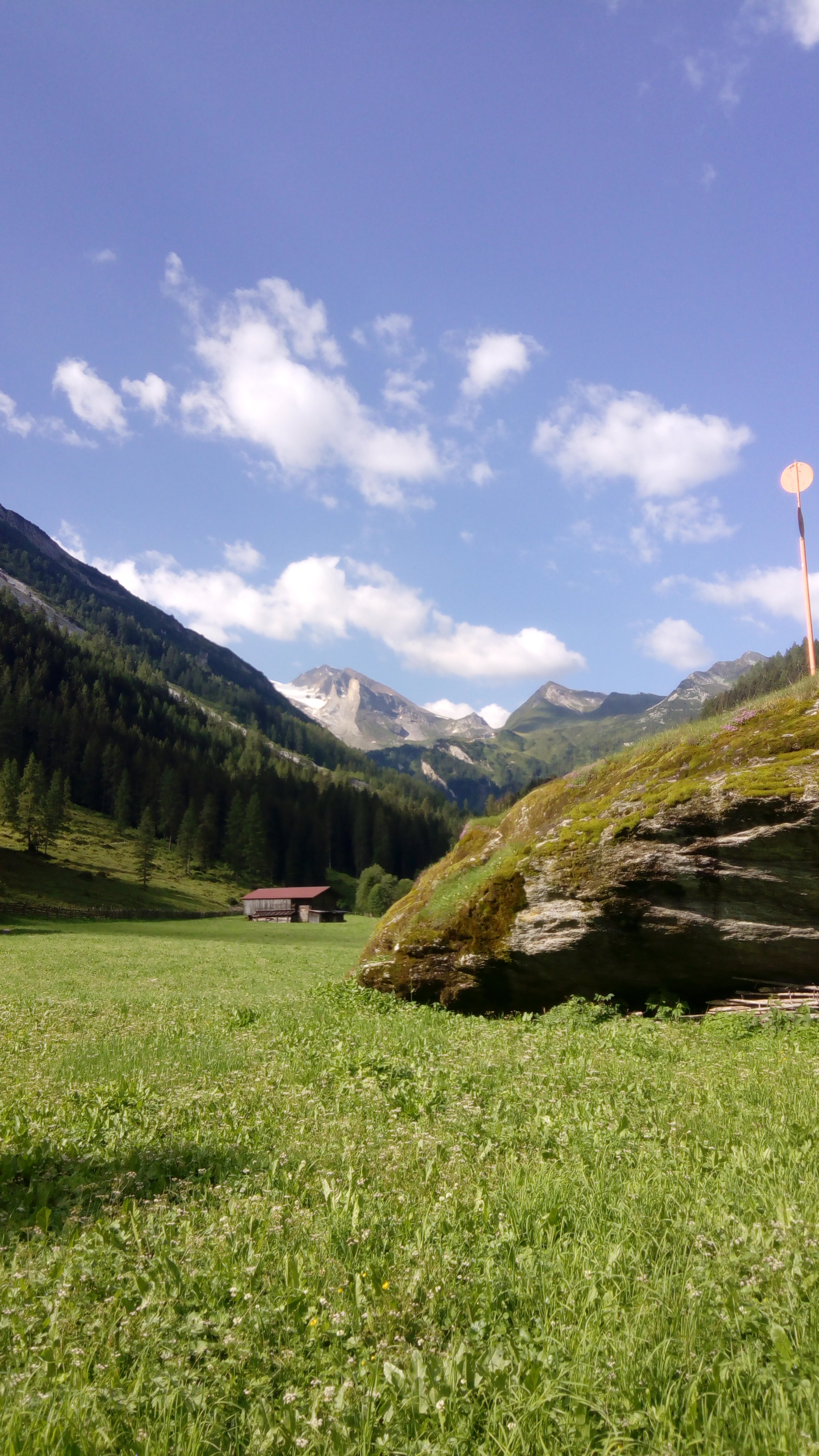 Hotel Garni Forelle mit Gourmetrestaurant-官方