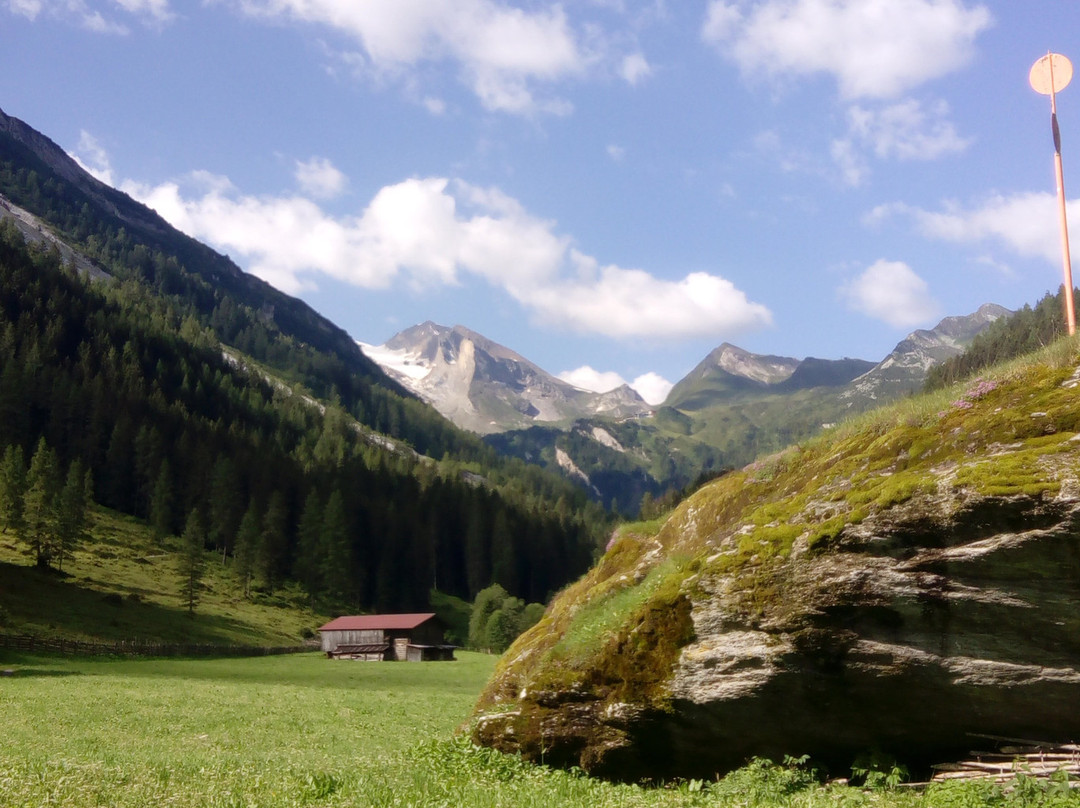 Hotel Garni Forelle mit Gourmetrestaurant主图