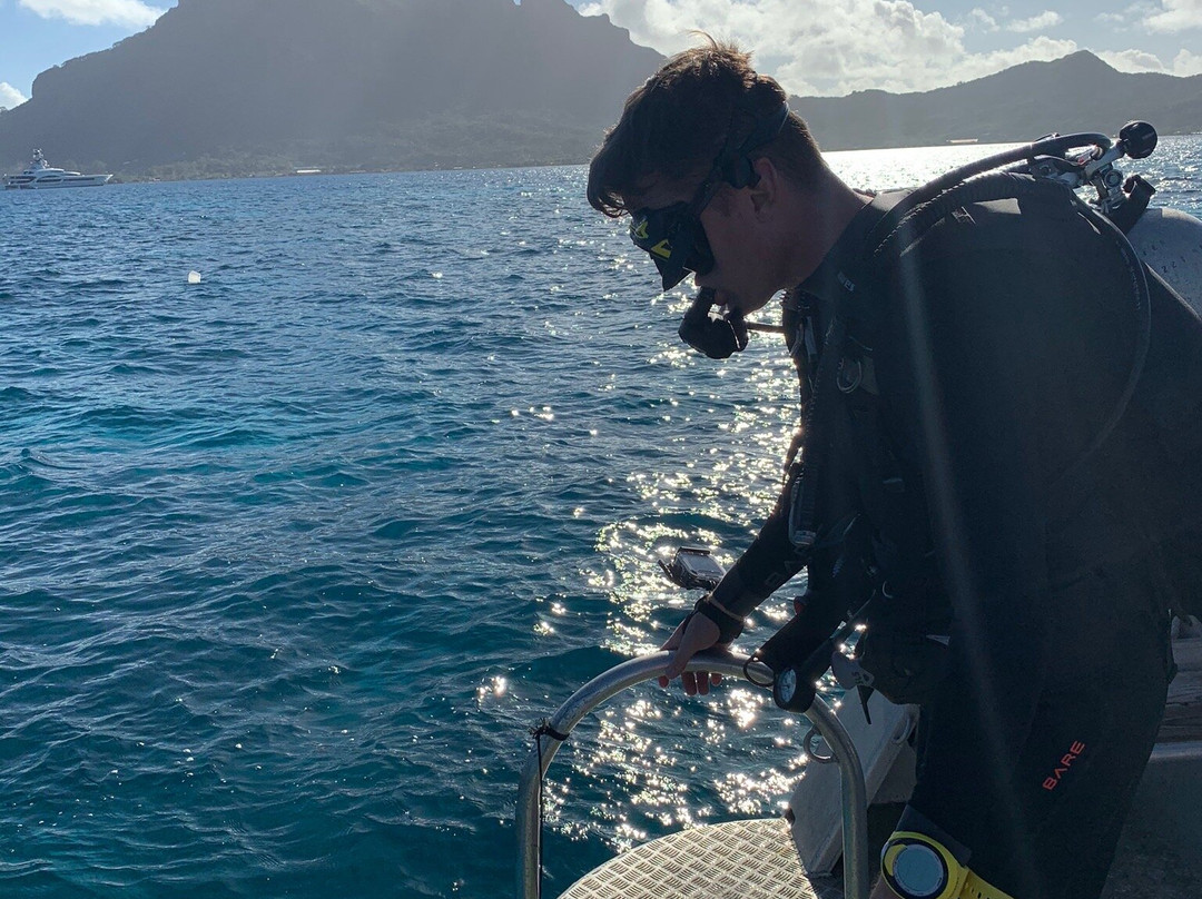 Top Dive, Bora Bora景点图片