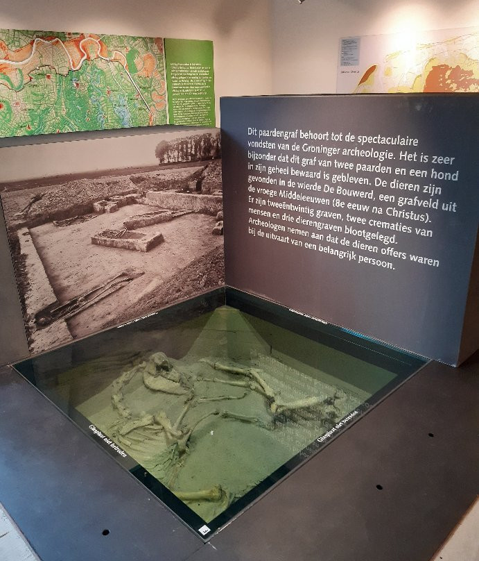 Museum Wierdenland-Ezinge必去景点