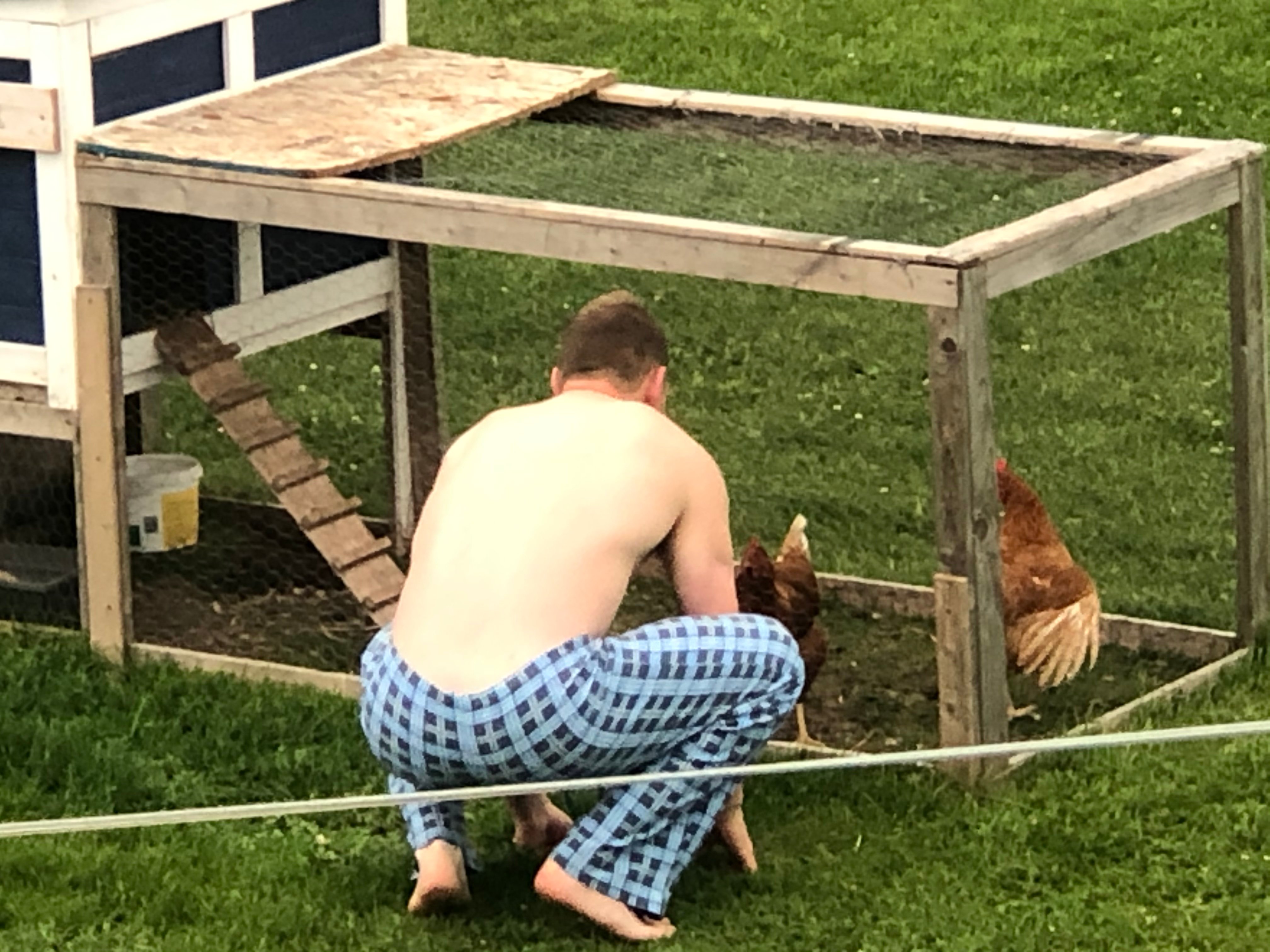 Vagues Vertes-官方