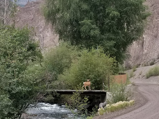 The Matterhorn Motel主图