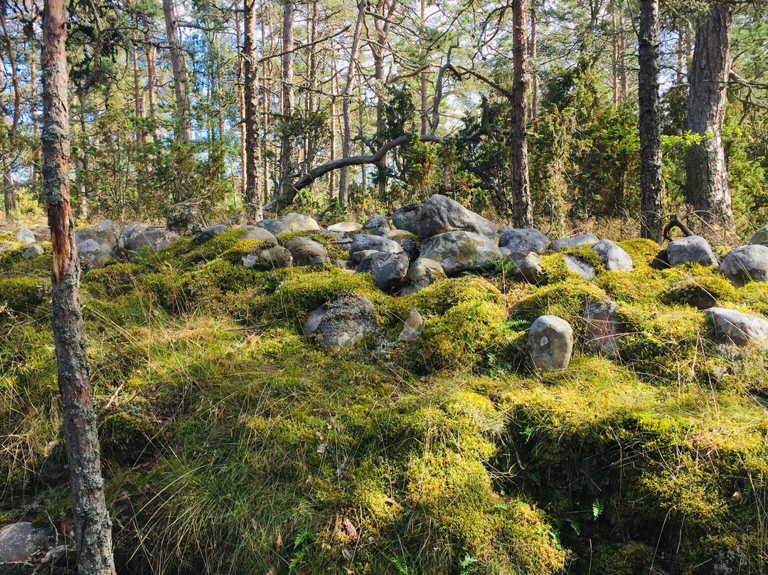 Naturum Trollskogen-Byxelkrok必去景点