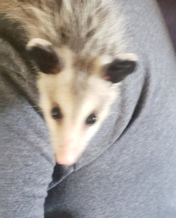 Eaton Hill Nature Center-Sonora必去景点